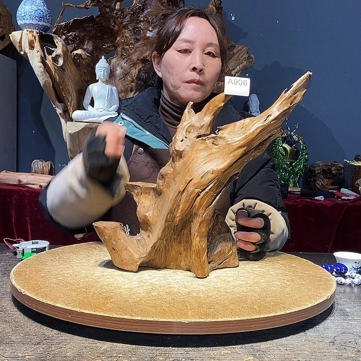 子*#906株木随行的小根艺