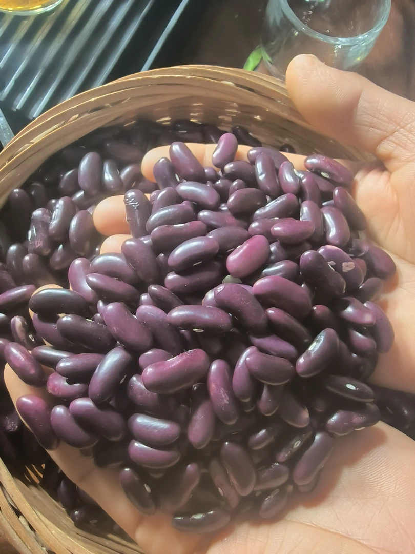 云南高山生态红腰豆5斤装