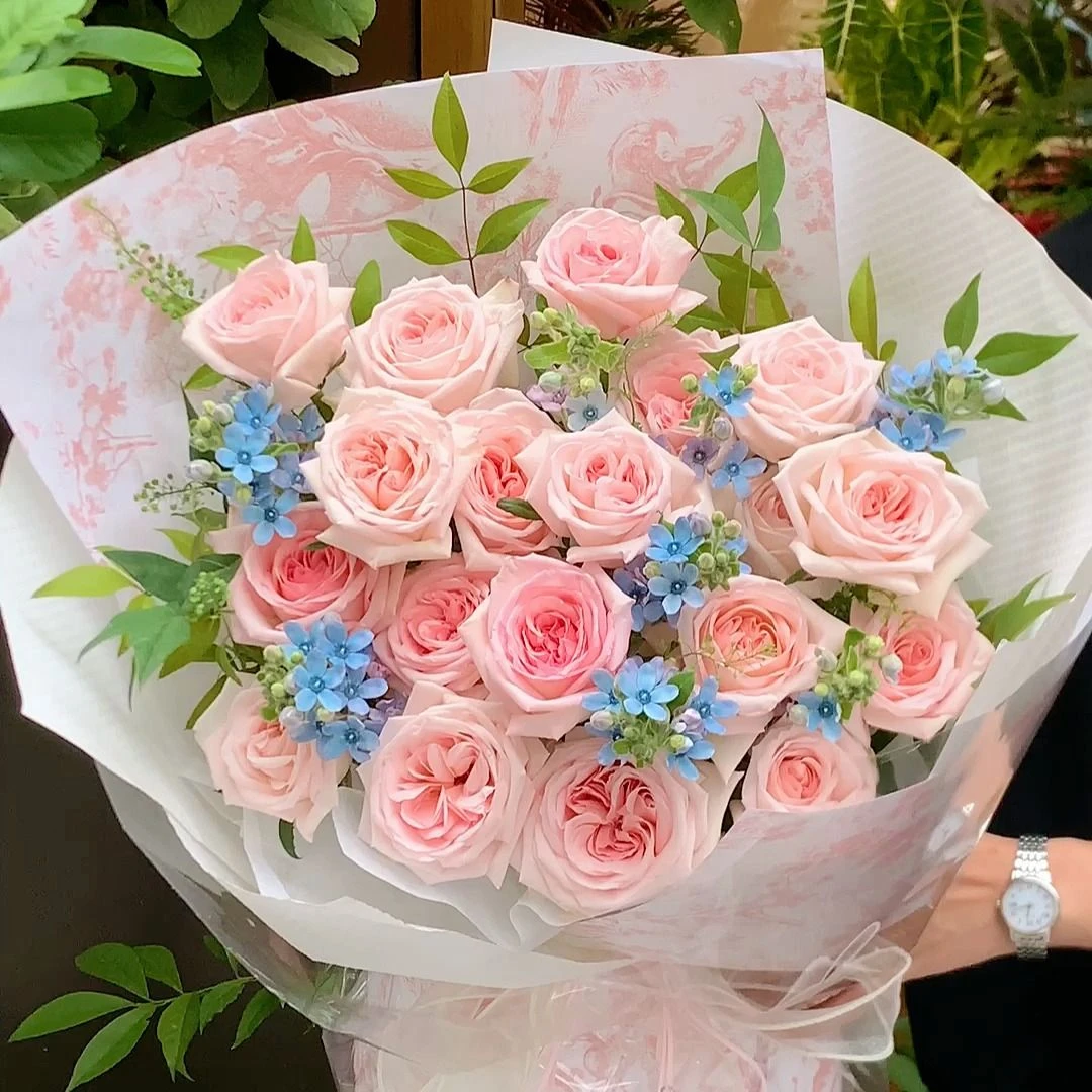 【粉黛佳人】19朵粉玫瑰混搭蓝星花花束送女友礼物情人节礼物情人节花束礼物生日鲜花花店送花上