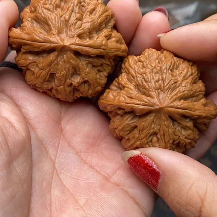 核桃大粗筋48尺粗筋