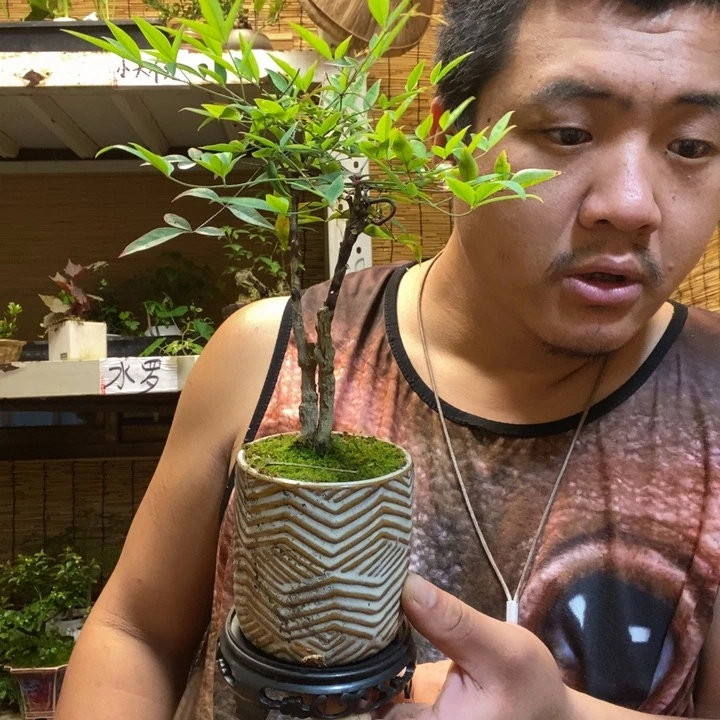 专***烂一物一拍所见即所得417