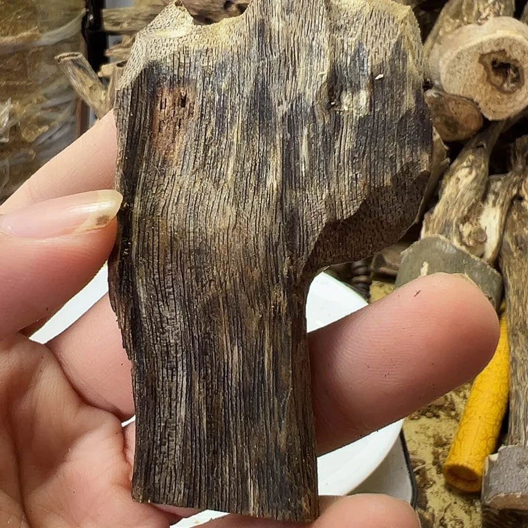 木绿奇楠虫漏10克