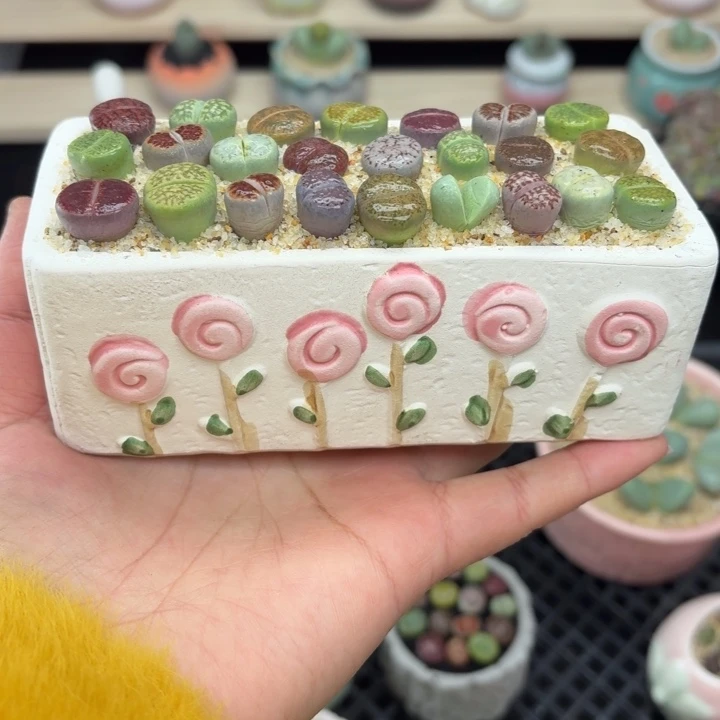 7016零下地区记得拍保温箱