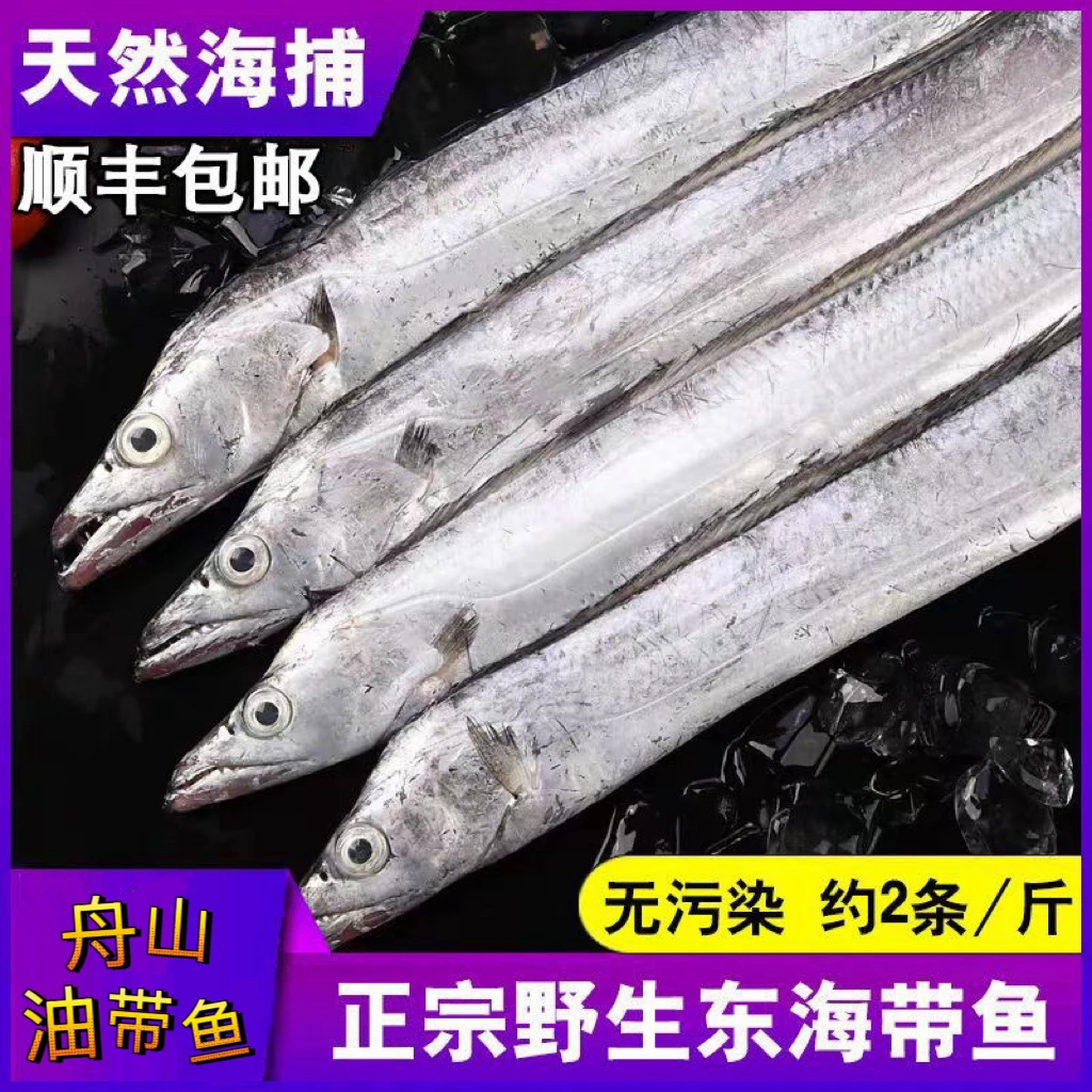 【净8.5斤】舟山带鱼东海小眼带鱼雷达网捕捞小黑眼油刀鱼大刀（17条左右）顺丰包邮（个别有破肚掉鳞）带鱼同城送