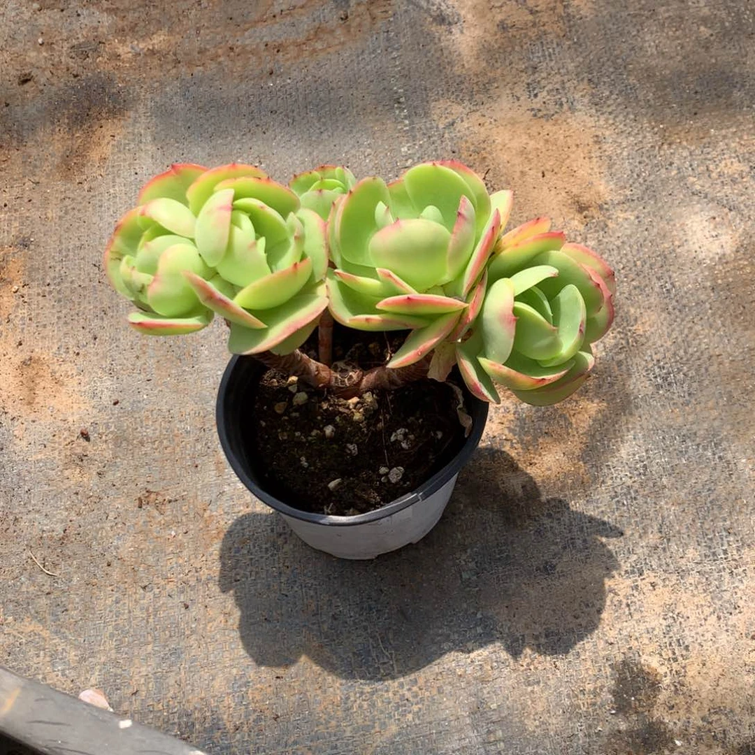 人工增水等多种方法实现自动