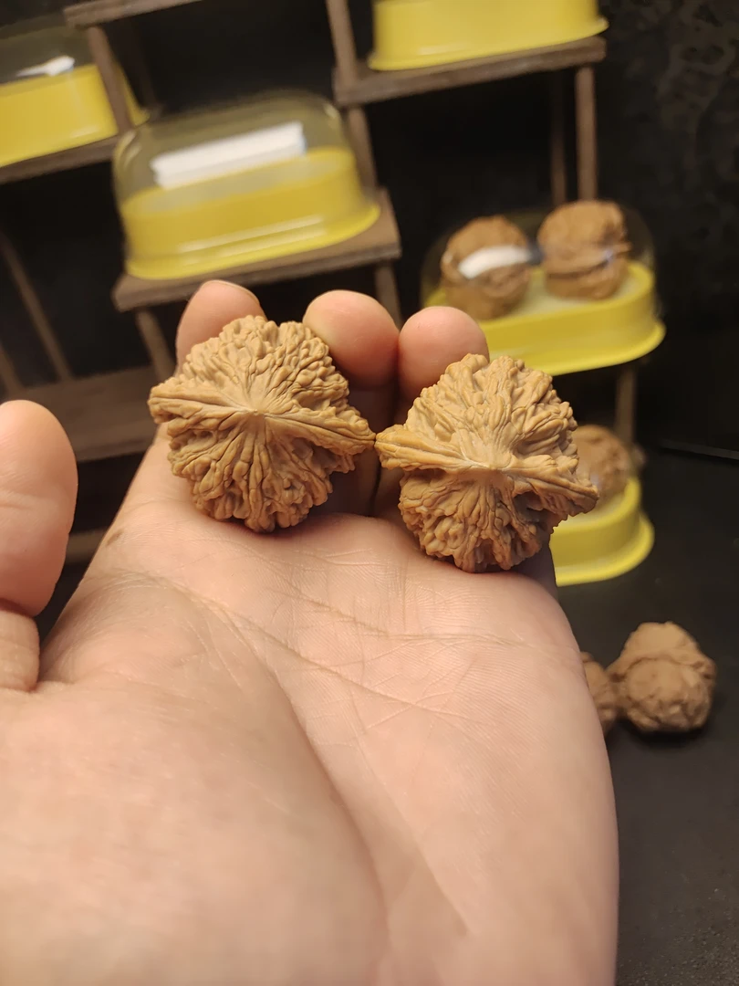 文玩核桃全品麦穗虎头未打底