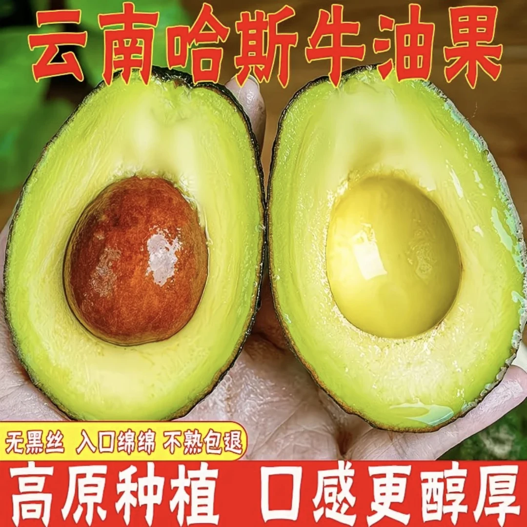 FD云南孟连牛油果哈斯牛油果鳄梨孕妇宝宝辅食新鲜整箱水果
