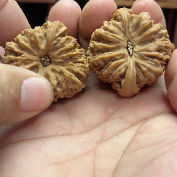 完全开放云***地南疆石