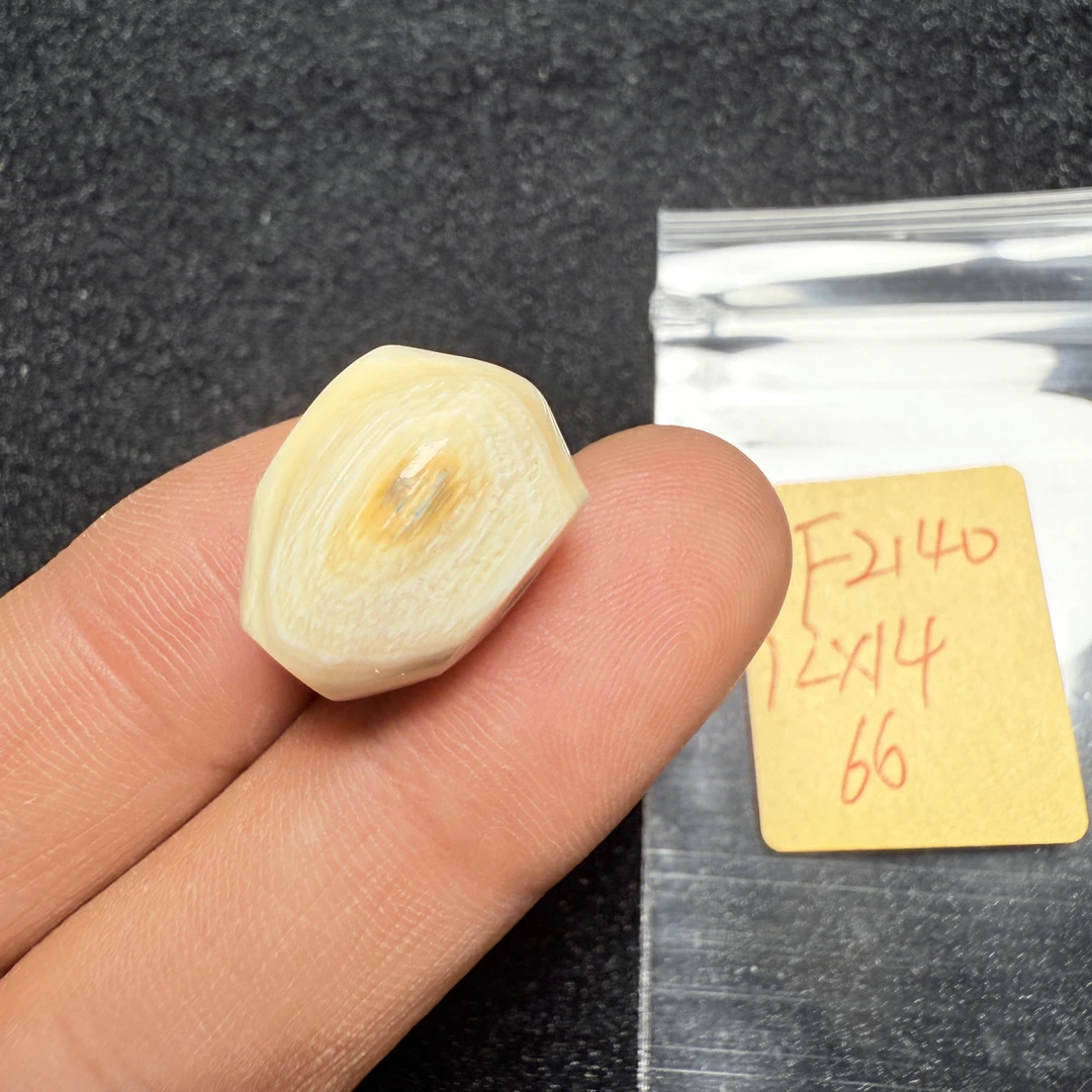 F2140猛犸象牙鲨鱼背三通尺寸12*14