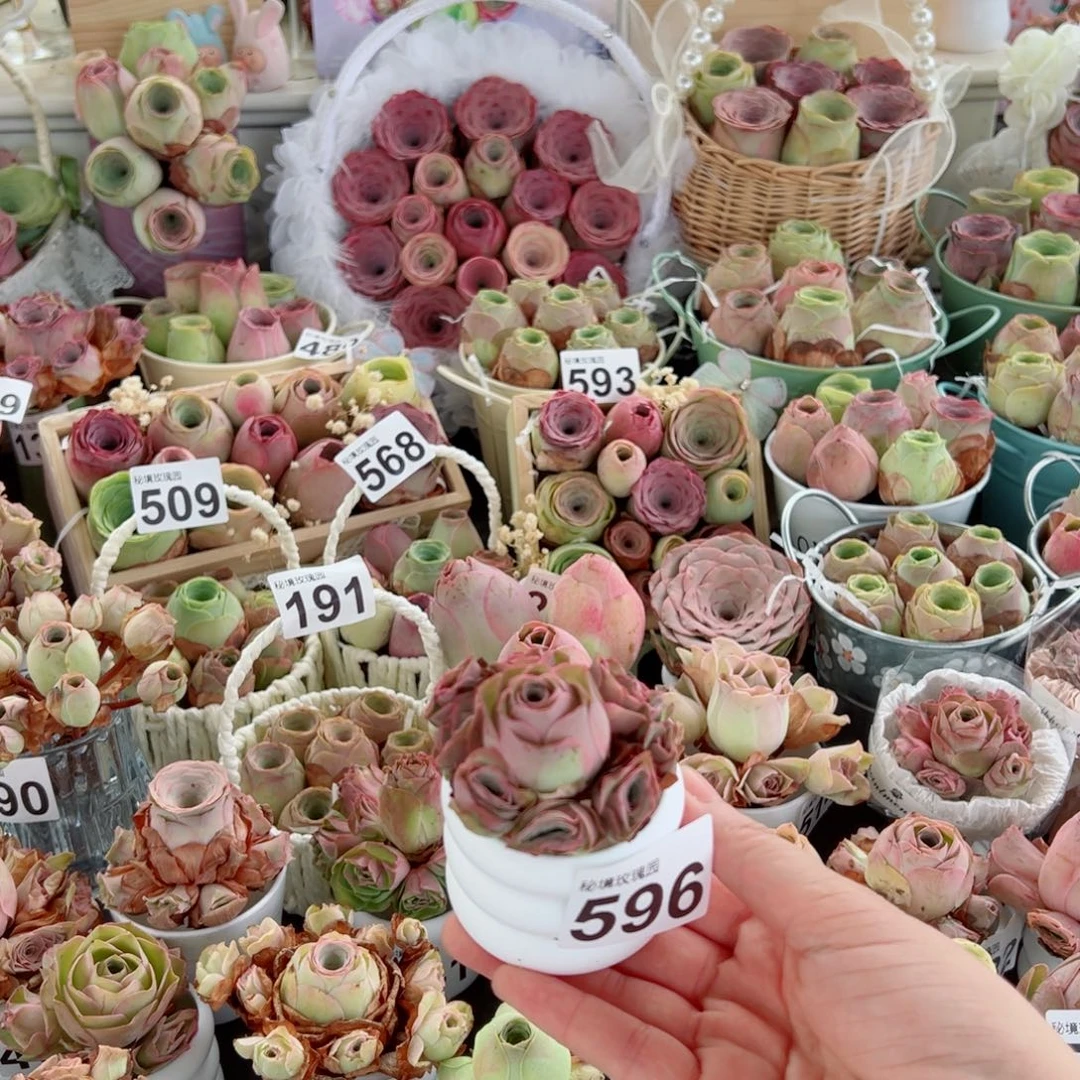 এ***࿐596如意小捧花群。  一物一拍