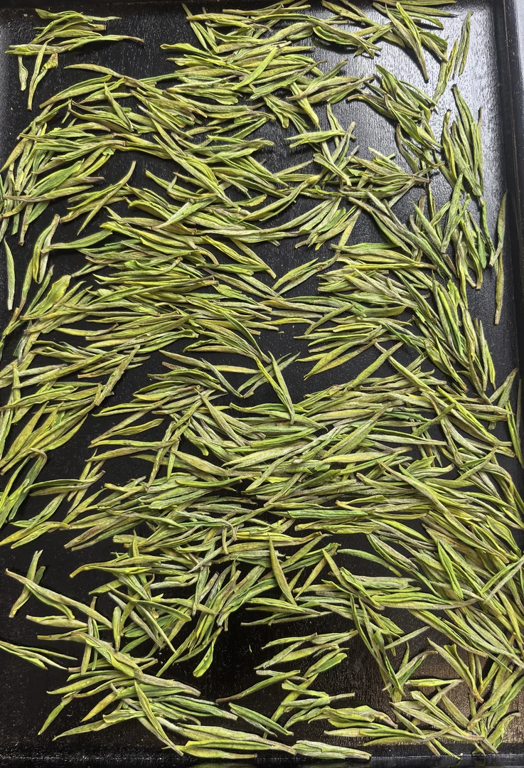 明前好茶，安吉白茶正宗原产地鲜爽感十足