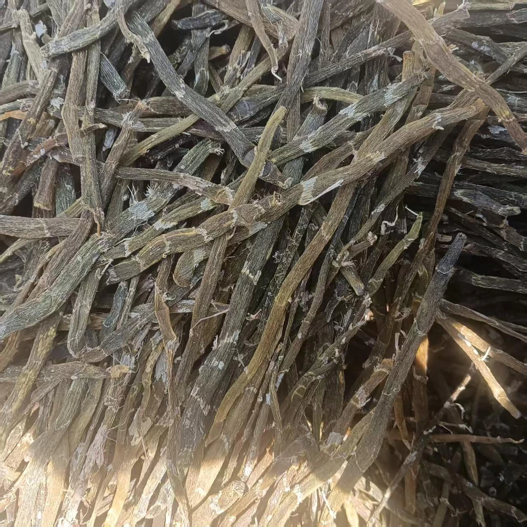 佤乡山货推荐【大珍虫石斛直条】山货特产5