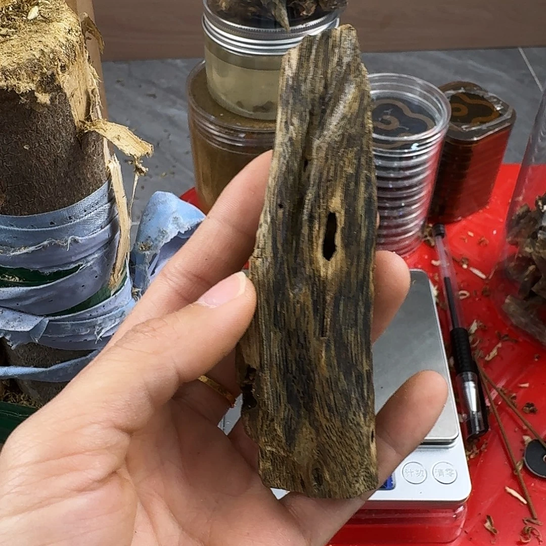 自***在香料绿奇楠虫漏乌身圆叶17克