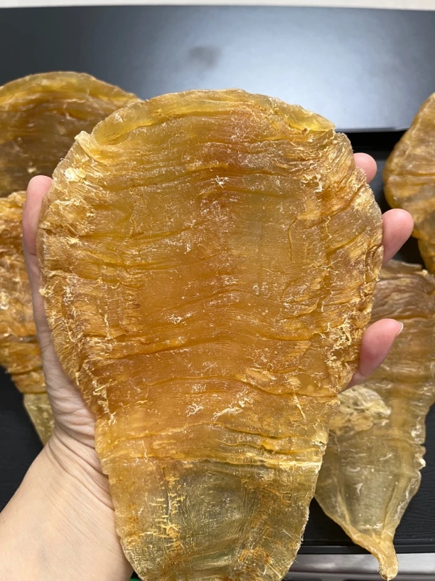 老双芽鱼胶 煲汤咳咳必备 腥味低 包邮