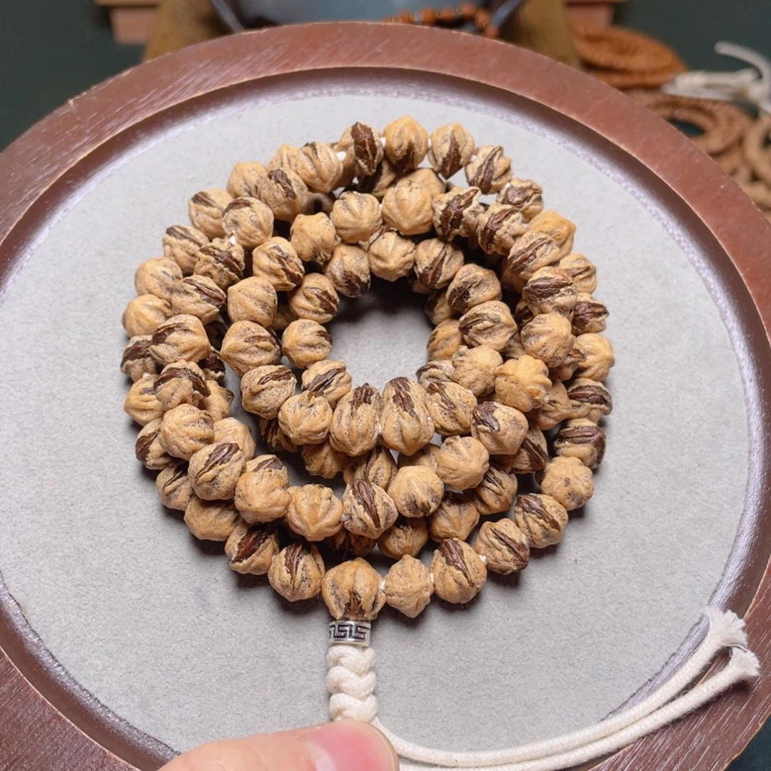 吊坠柏香籽/百香籽红芽横打长串