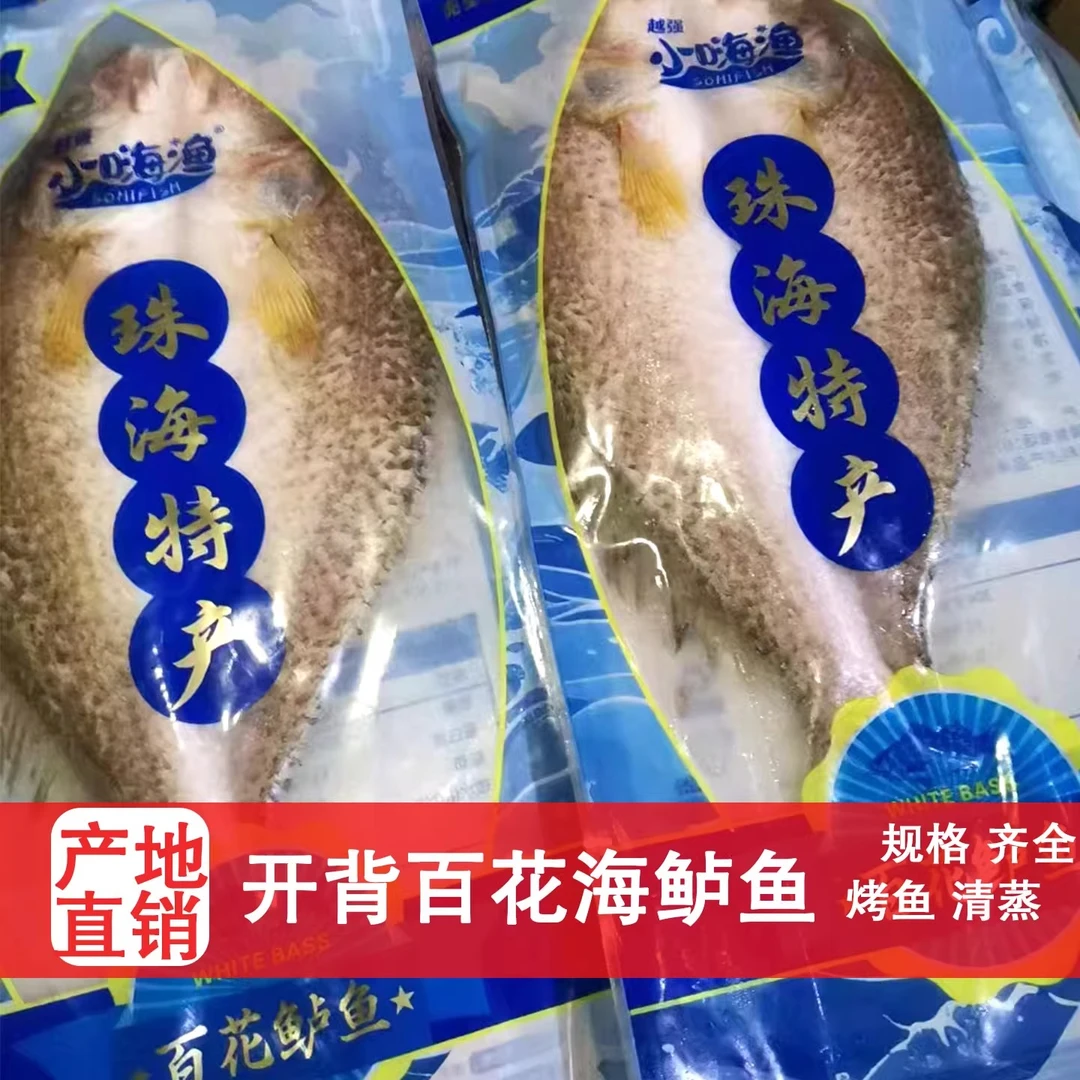 【顺丰次日达】珠海特产百花鲈鱼到手400g每条送货到家锁鲜速冻
