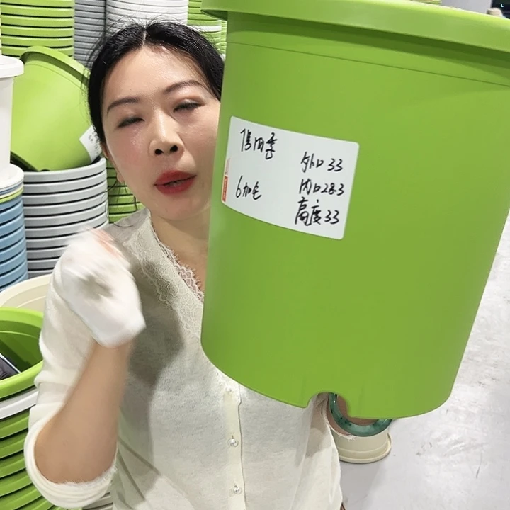特价7号四季口33高33白色6只无托
