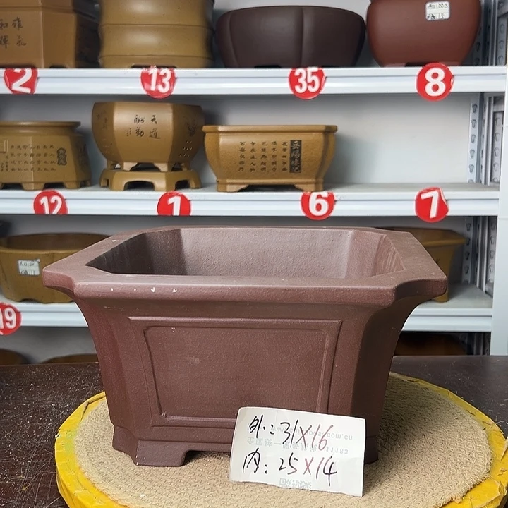 花盆紫砂你在一起