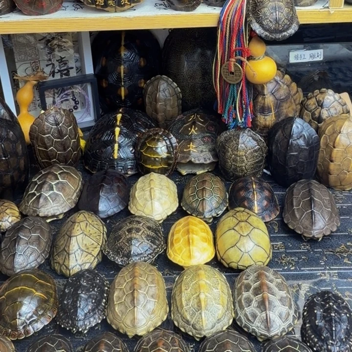 火***焱有机玻璃龟甲手把件