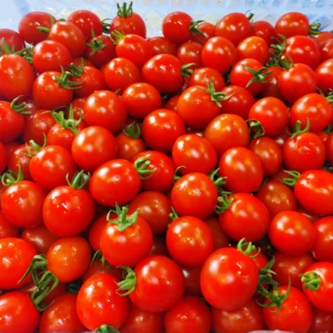 【尊尚小甜甜1斤惊爆价秒杀】番茄小番茄同城送番茄同城配千禧圣女果江苏省