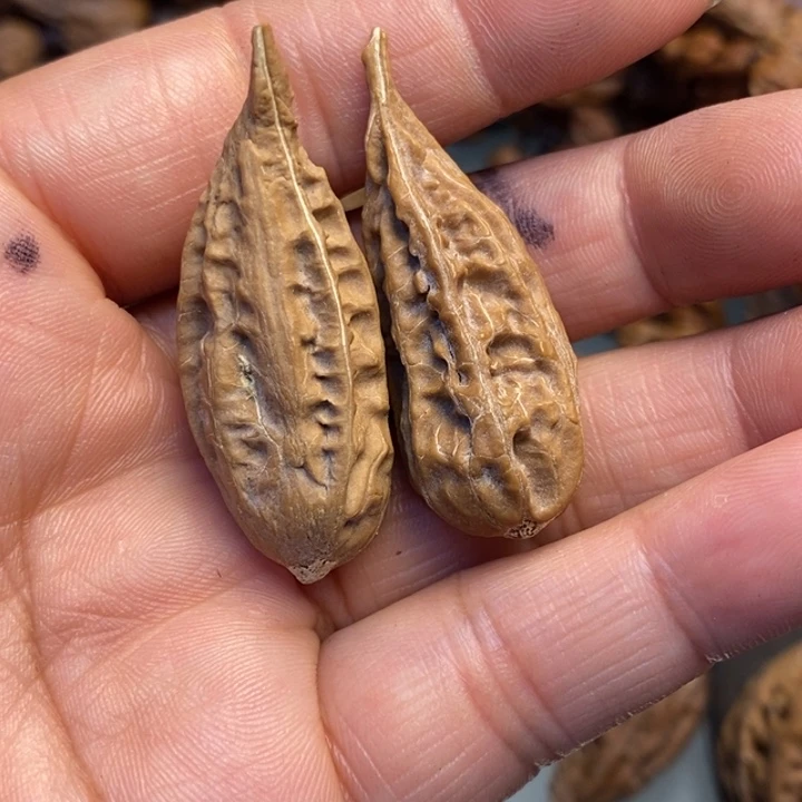文玩核桃吊坠娜姐48