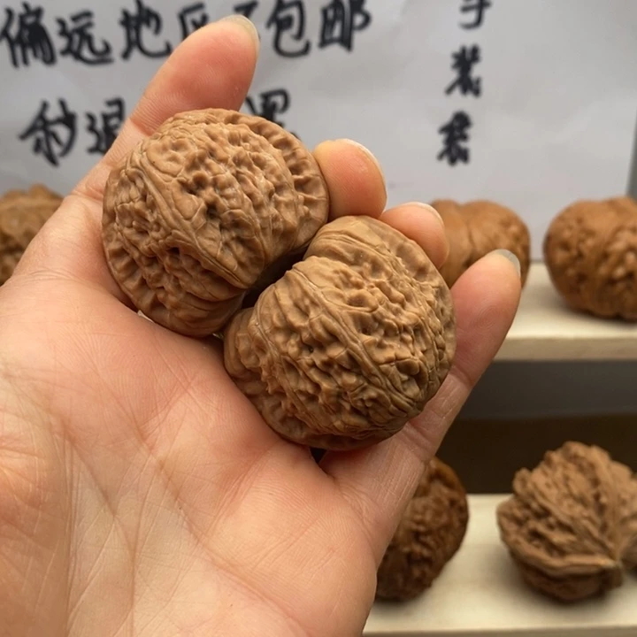 核桃白狮子38尺全品无修