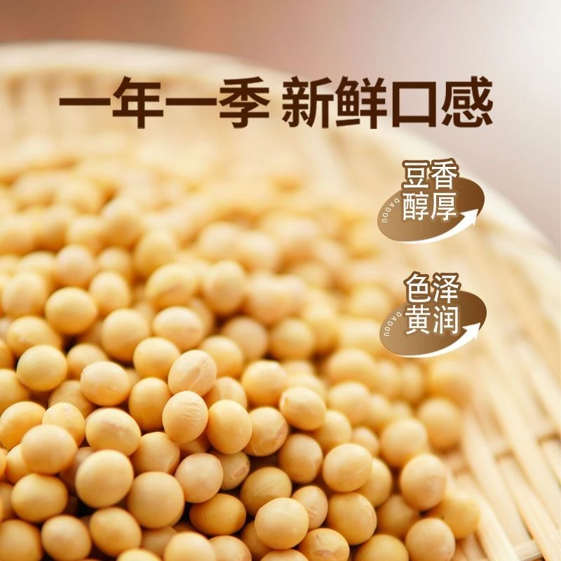 25年新黄豆东北黑龙江发豆芽的黄豆豆浆原料豆芽农家黄豆