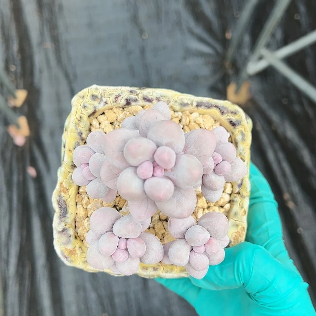 xbchvjbhvbbbvbbbbbnnbn