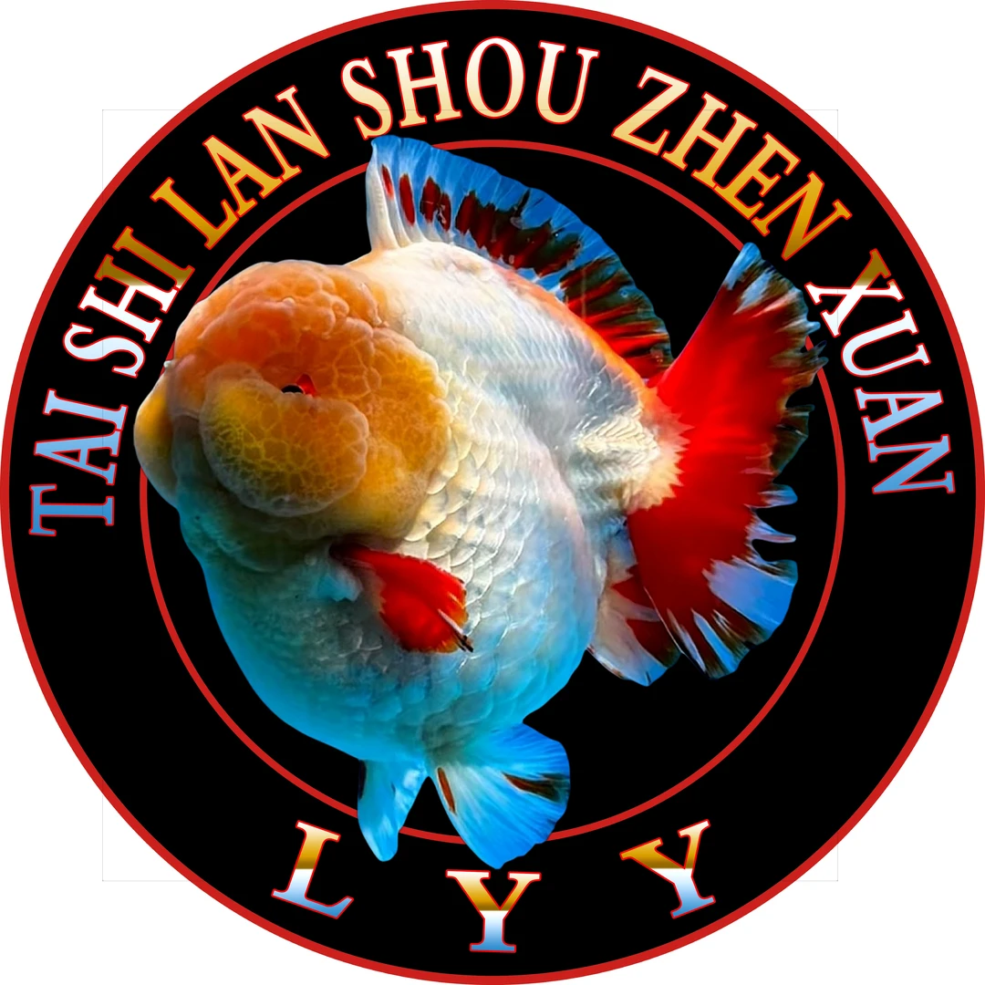 泰狮，兰寿，玛丽，百褶金鱼