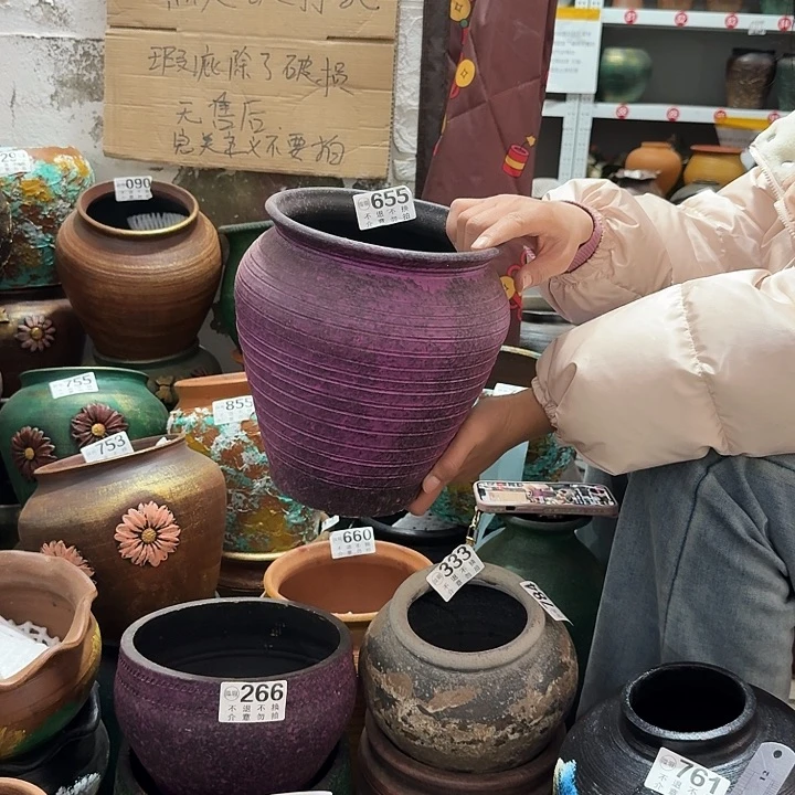 紫色655高度24口径18