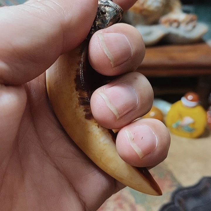 c n m b v b n b b b b