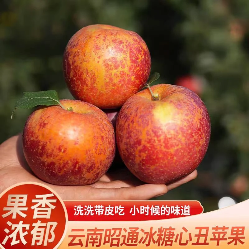 昭通冰糖心丑昭通糖心苹果糖心丑苹果云南昭通丑苹果