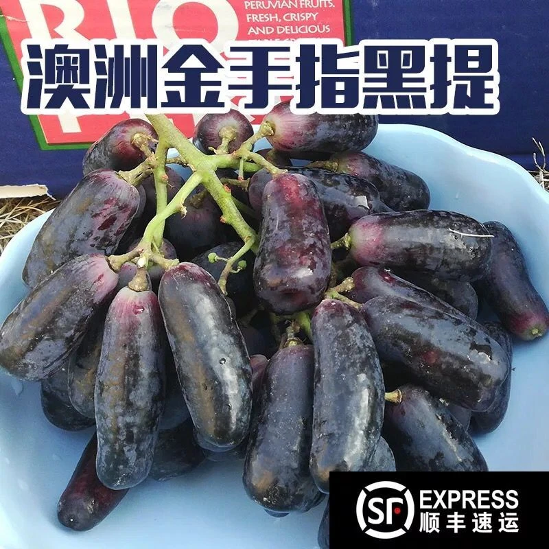 【顺丰现货】澳洲金手指黑提无籽提子葡萄长美人指当季新鲜水果包邮