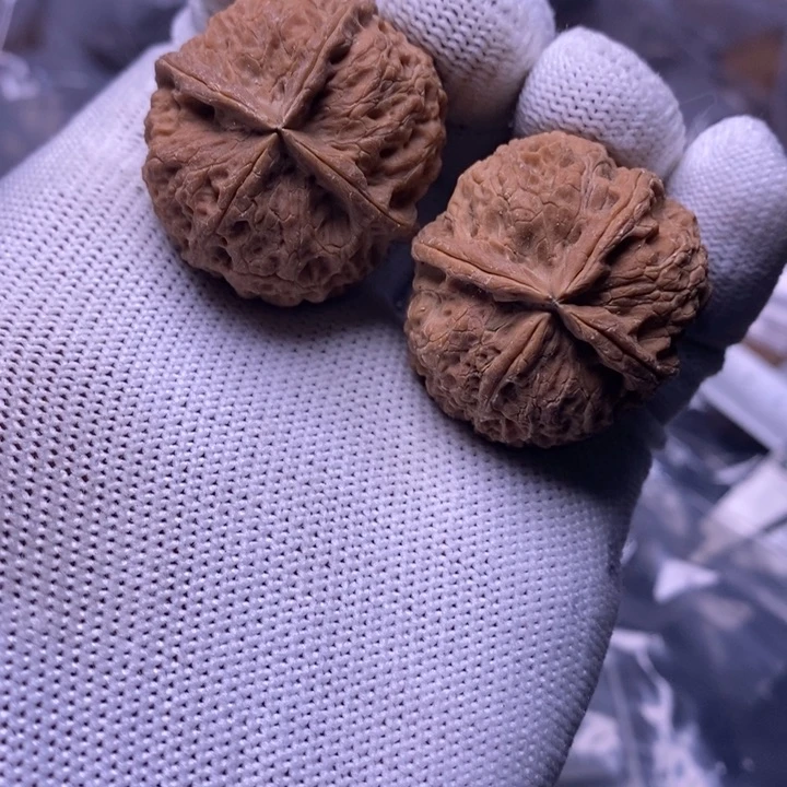 吊坠文玩核桃云南铁核桃炸福利17号