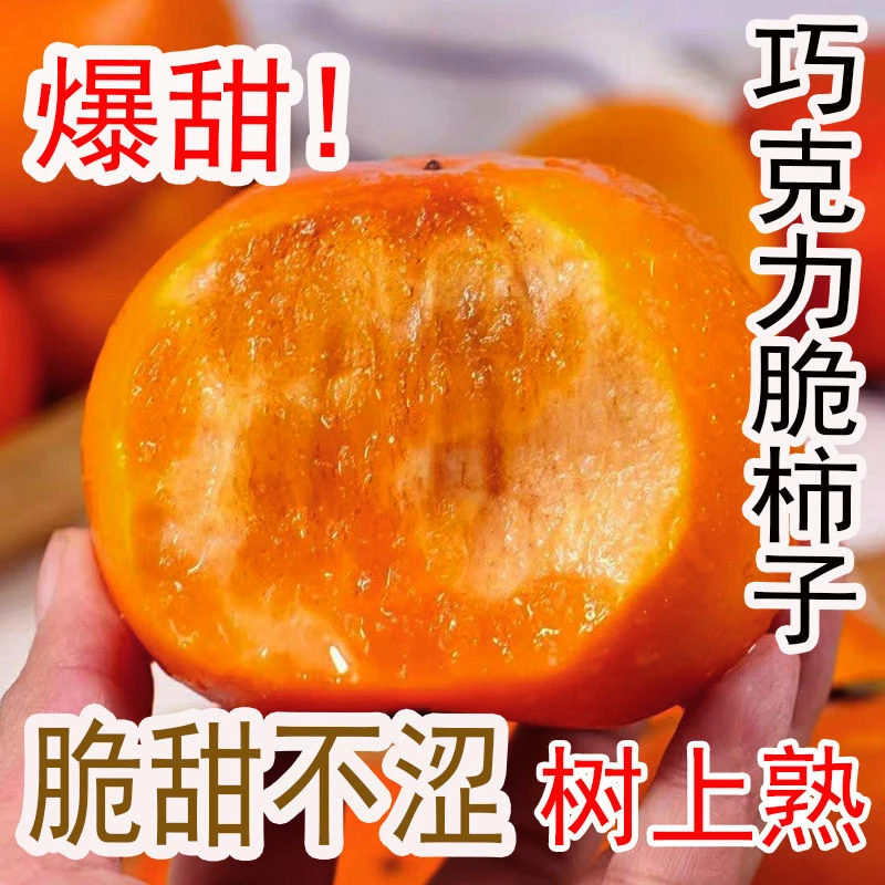 【牛哥专属】山西阳丰冰糖心巧克力脆甜柿子新鲜应季水果