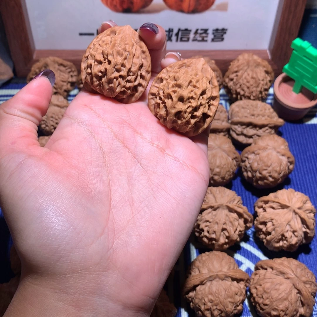 小***力35秦公子1101 1111111