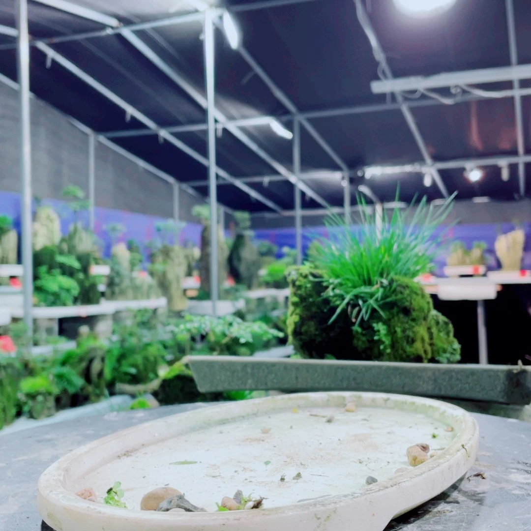 玩***族无花朵你要的就是这个人对