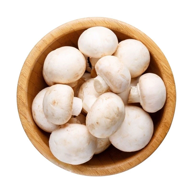 生鲜传奇白蘑菇230g
