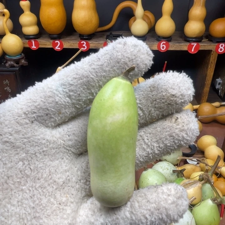 清***ʊ葫芦葫芦葫芦葫芦