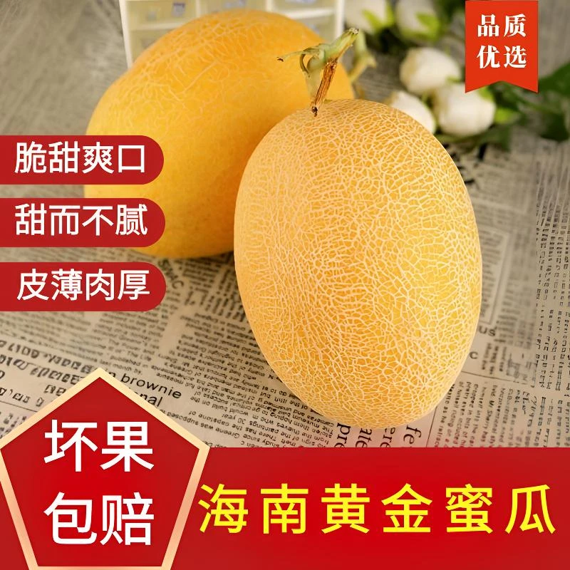 【鹿品味】海南黄金蜜瓜黄皮哈密瓜新鲜脆甜多汁蜜瓜甜瓜当季水果