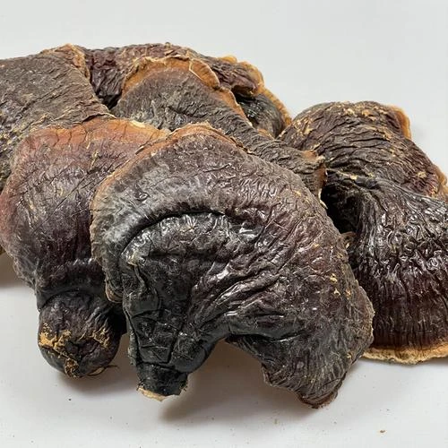 云南特产松杉白肉灵芝可泡茶煲汤的滋补品干货百合干