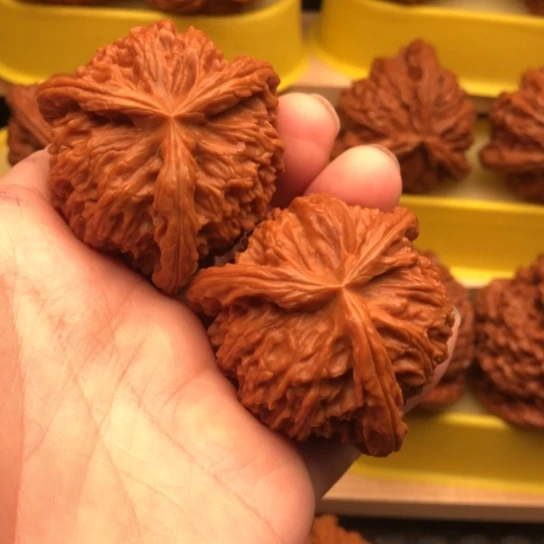 龍***隱核桃核桃核桃和他的核桃咯