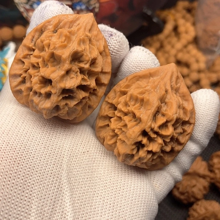 秦岭山地核桃鸡心