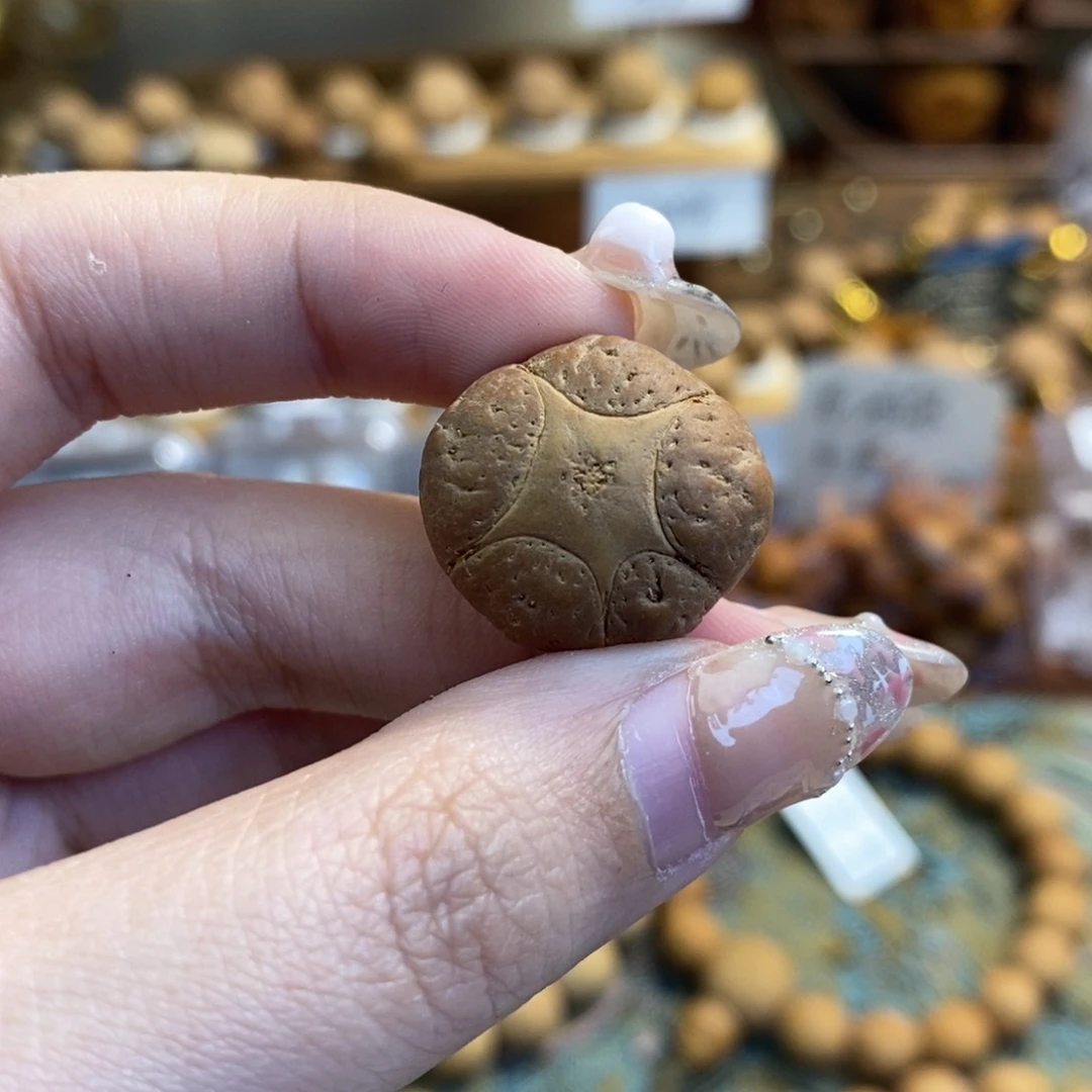 凤眼菩提吊坠尼泊尔五星单颗尺寸20.5