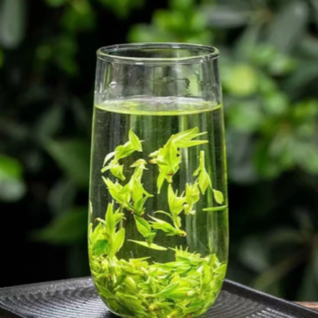 小叶苦丁，小傅源头直收 2025新茶嫩芽青山绿水 清香 回甘强ADf