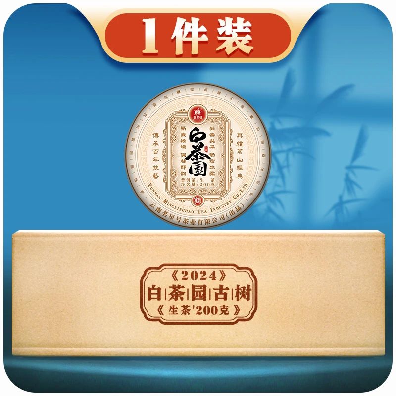 2024年头春选料白茶园古树普洱茶生饼 30饼/件