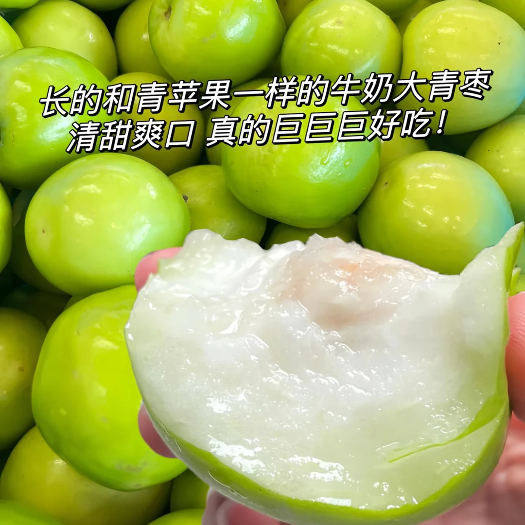 牛奶枣500g左右吉林省