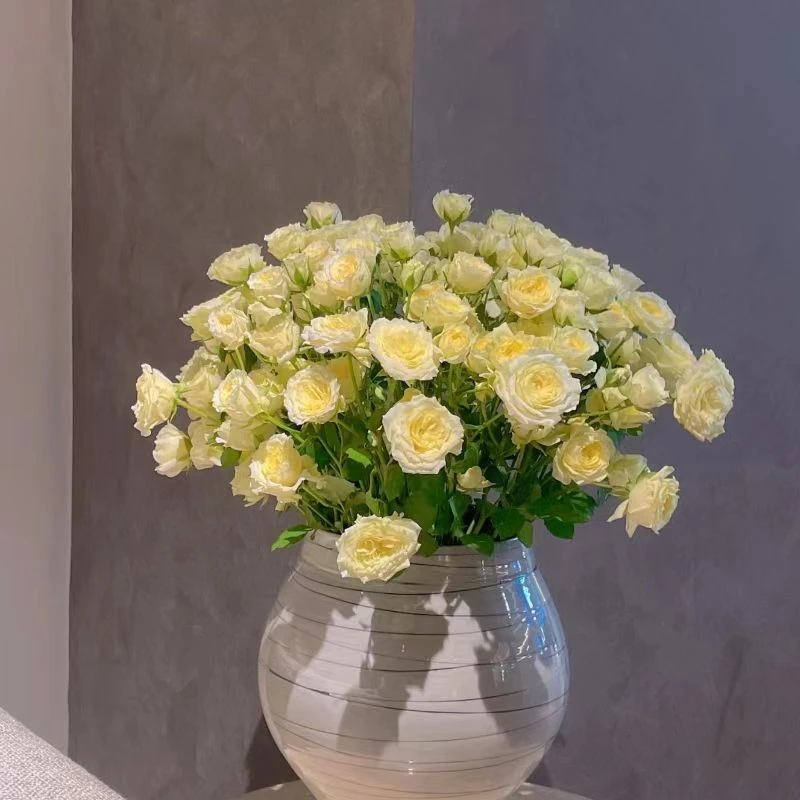 花無凡【暖暖多头高品质玫瑰10支】【3单送配草，5单送配花】