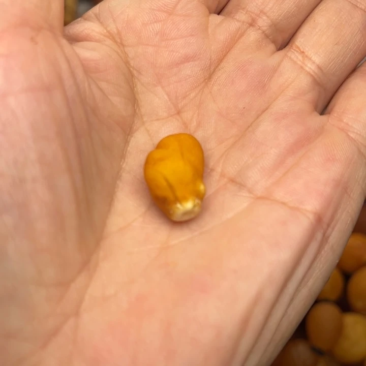 月***鞠琥珀未镶嵌裸石天然蜜蜡吊坠