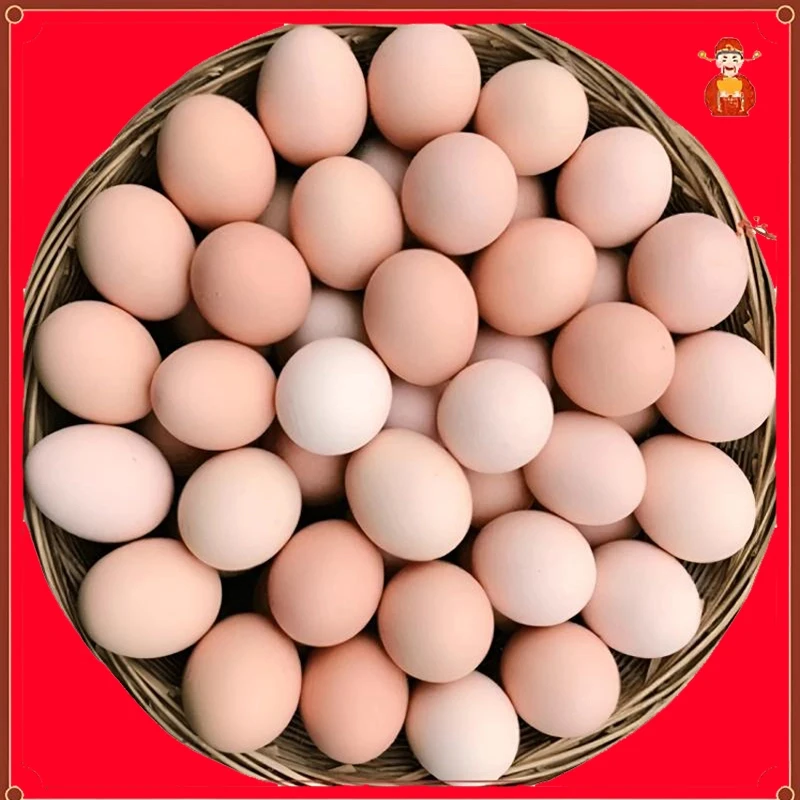 【抢购中】50枚土鸡蛋农家散养正宗新鲜健康鸡蛋大号喂养鸡蛋10枚